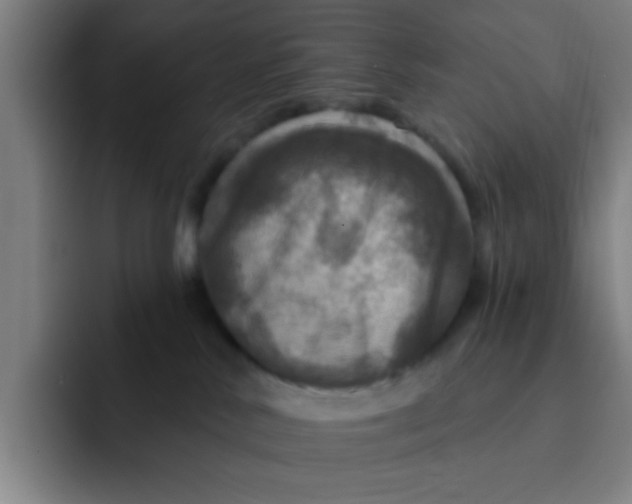 X0000091910042200709261724