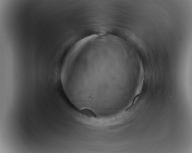 X0000091910043200709261724