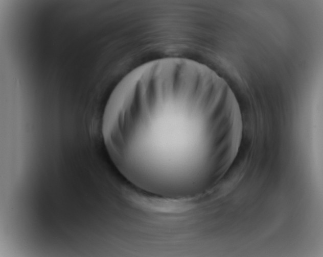 X0000091910044200709261724