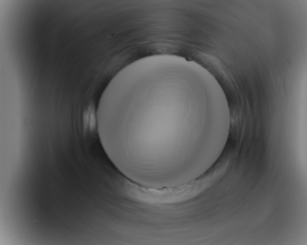 X0000091910046200709261723