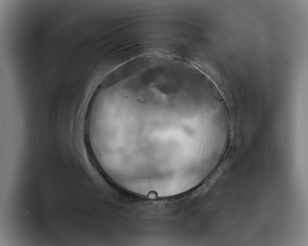 X0000091910049200709261723