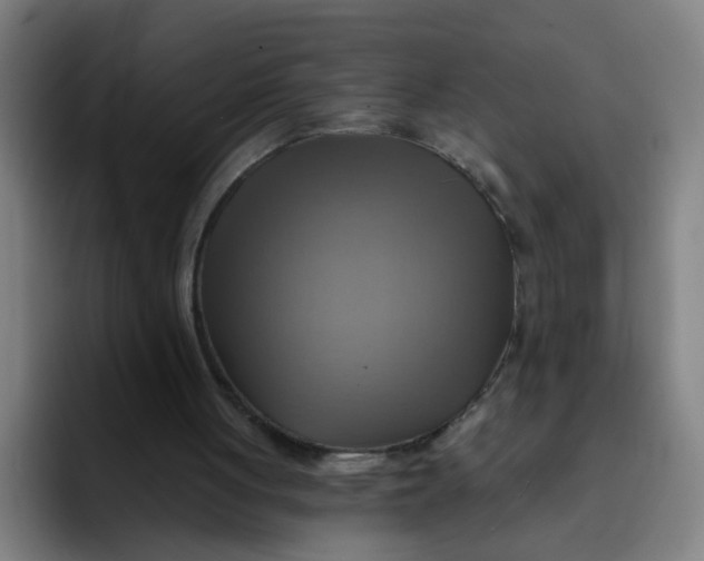 X0000091910051200709261723