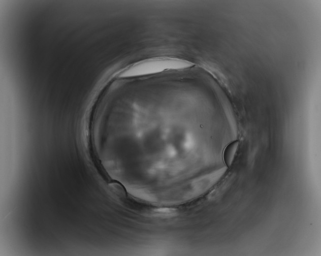 X0000091910053200709261723