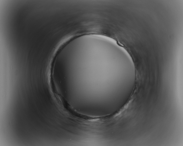 X0000091910054200709261723