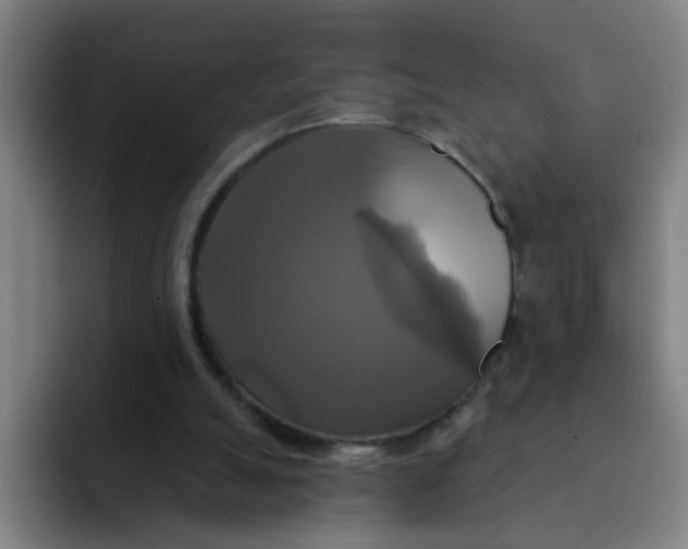 X0000091910055200709261723