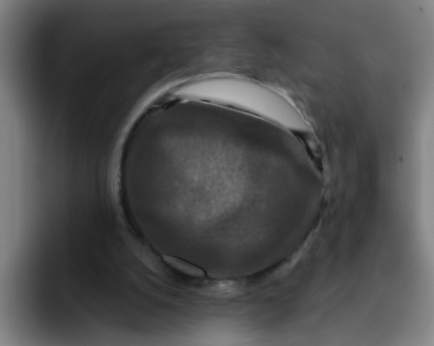 X0000091910056200709261723