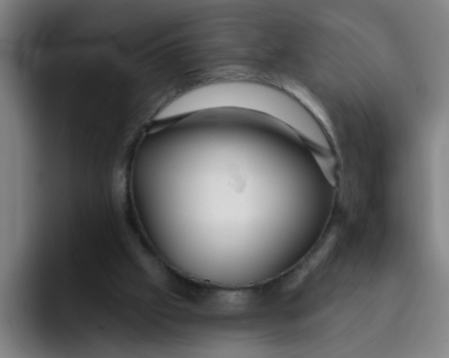 X0000091910057200709261723