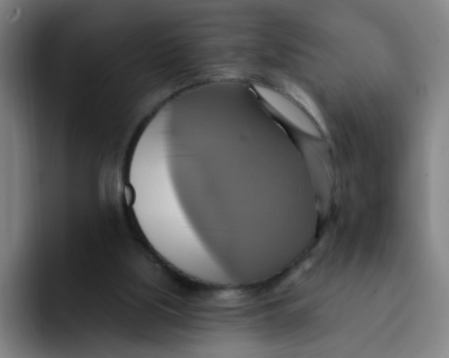 X0000091910059200709261723