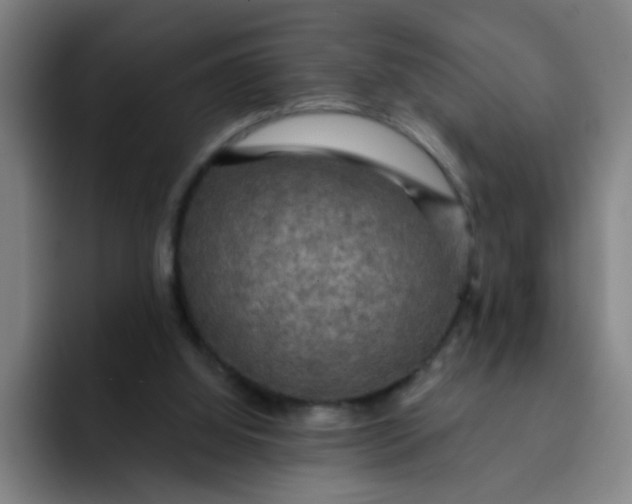 X0000091910060200709261723