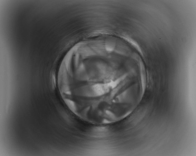 X0000091910061200709261723