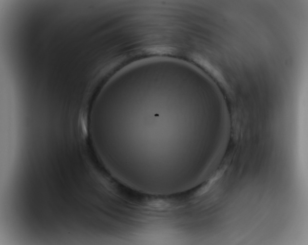 X0000091910062200709261723