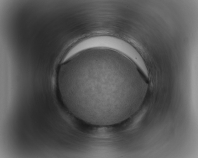 X0000091910064200709261723