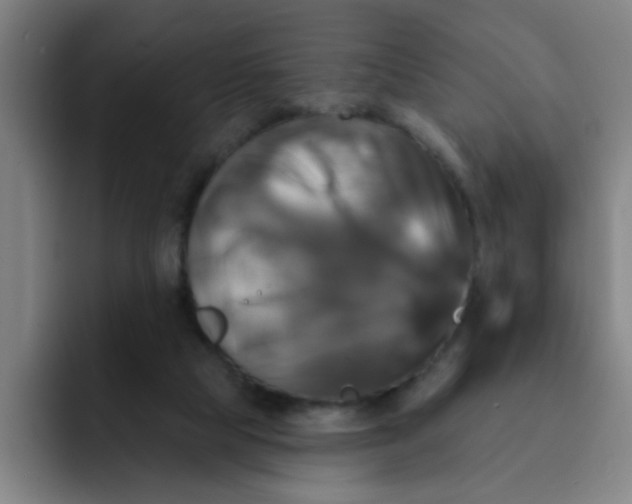 X0000091910065200709261723