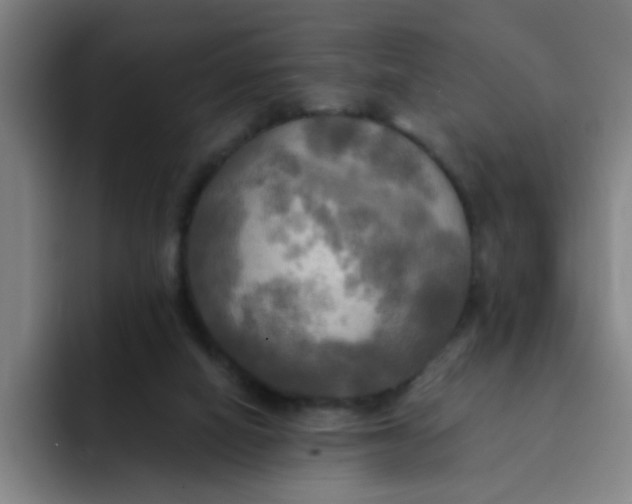 X0000091910066200709261723