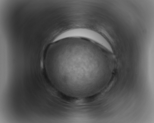 X0000091910068200709261723