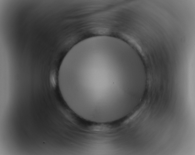 X0000091910069200709261723