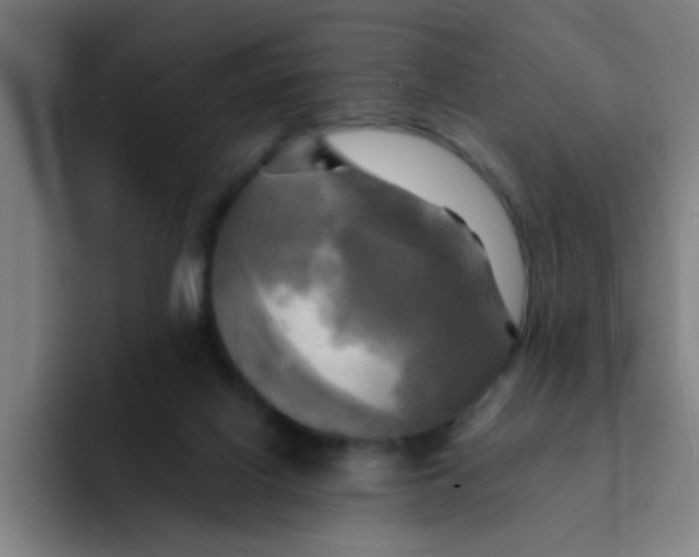 X0000091910070200709261723