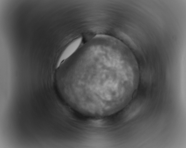 X0000091910071200709261723