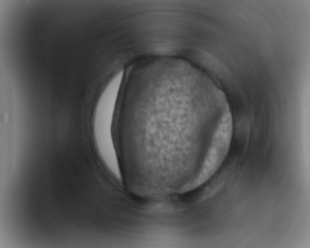 X0000091910072200709261723