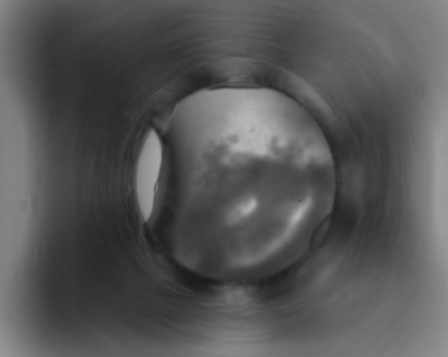 X0000091910073200709261723