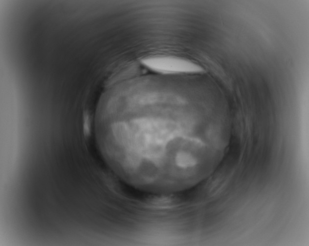 X0000091910075200709261723