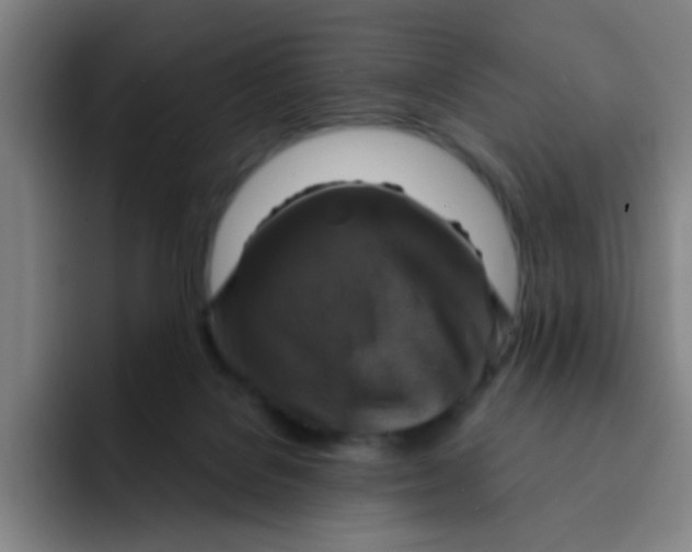 X0000091910076200709261723