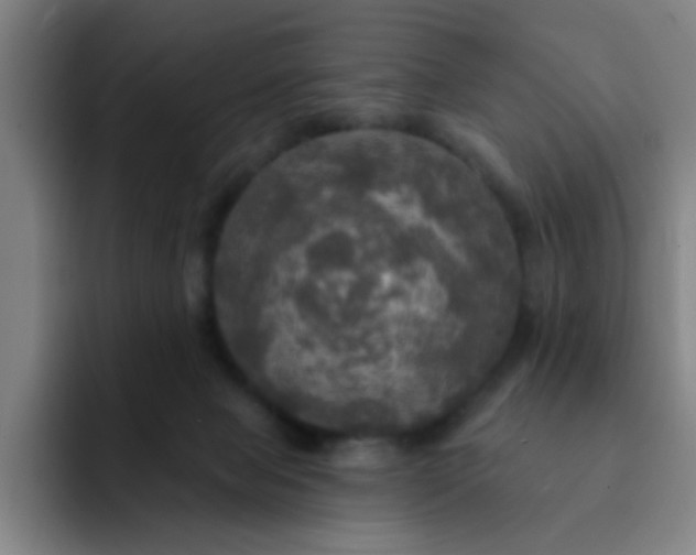 X0000091910077200709261723