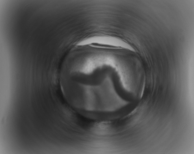 X0000091910078200709261723