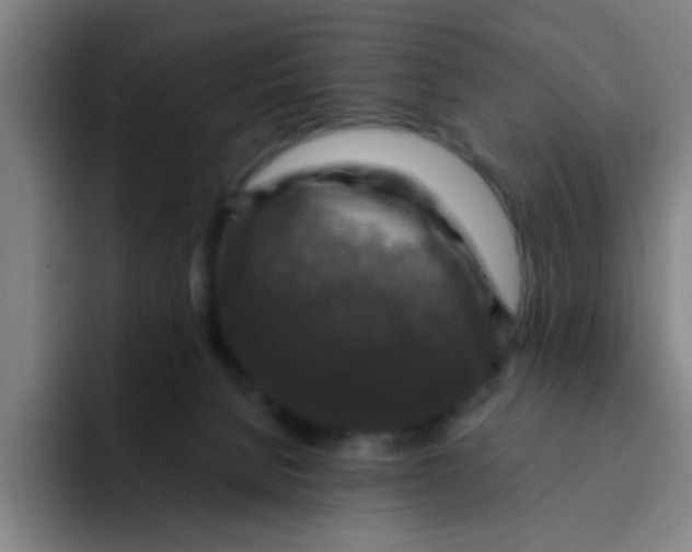 X0000091910080200709261723