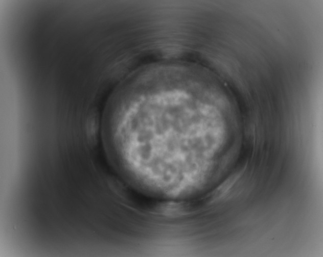 X0000091910082200709261723