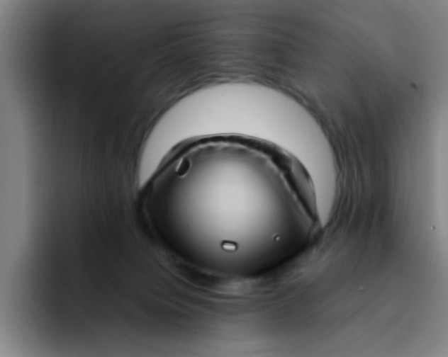 X0000091910084200709261723