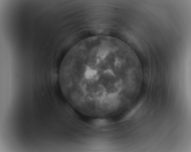 X0000091910085200709261723