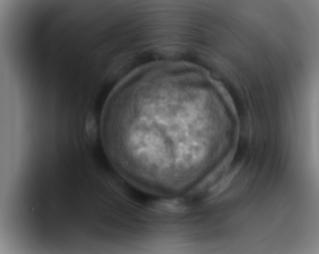 X0000091910086200709261723