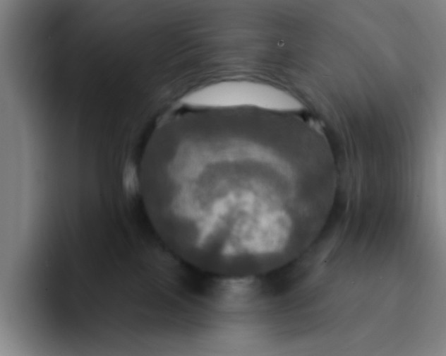 X0000091910089200709261723