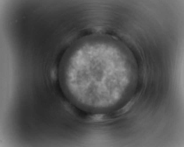 X0000091910090200709261723