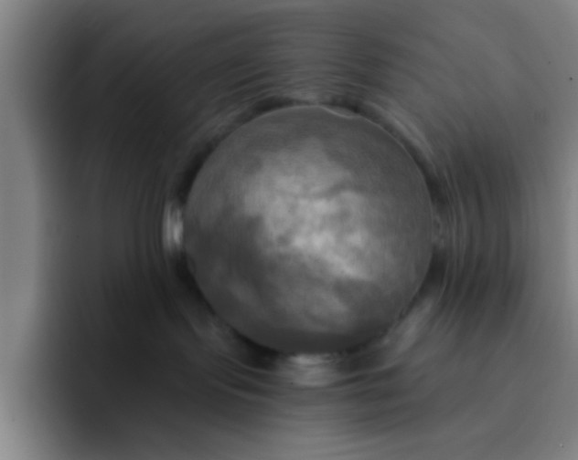 X0000091910095200709261723