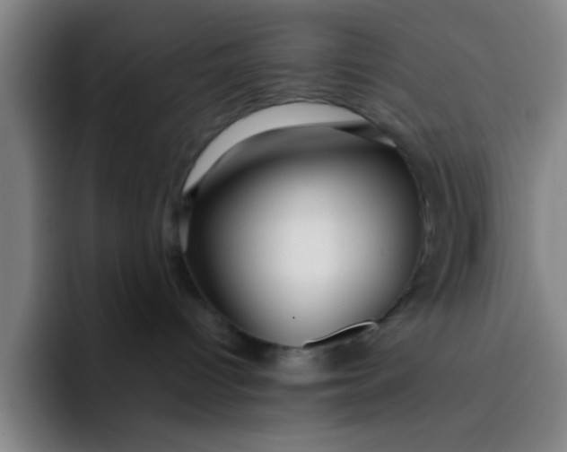 X0000091910096200709261723