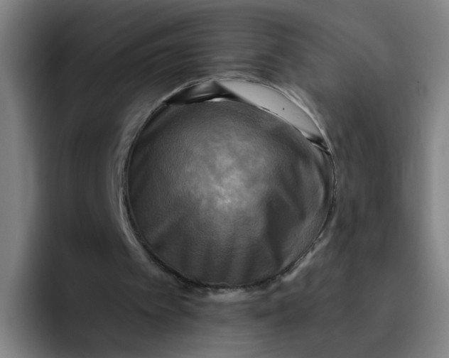 X0000091910097200709261723