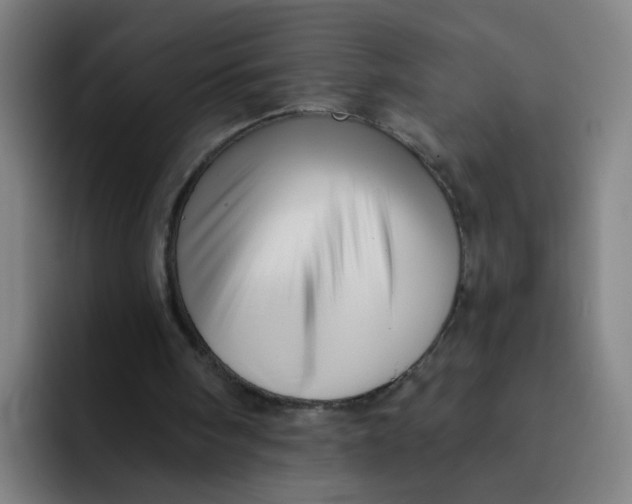 X0000091910098200709261723