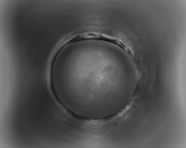 X0000091910101200709261723