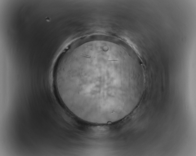 X0000091910102200709261723