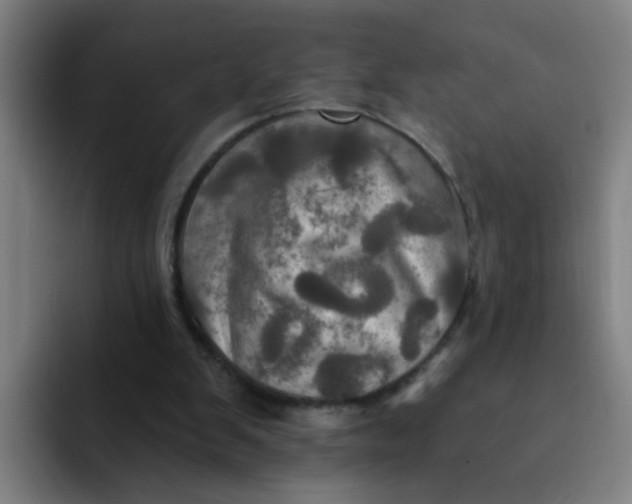 X0000091910103200709261723