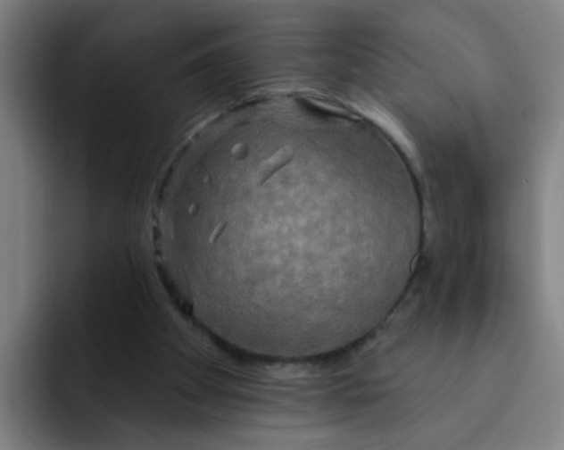 X0000091910105200709261723