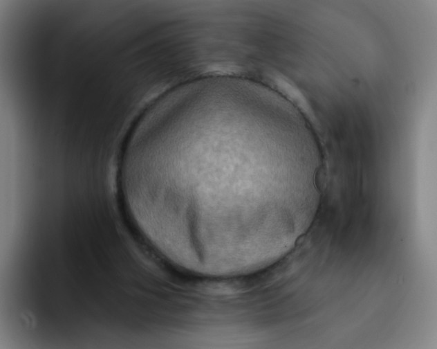 X0000091910106200709261723