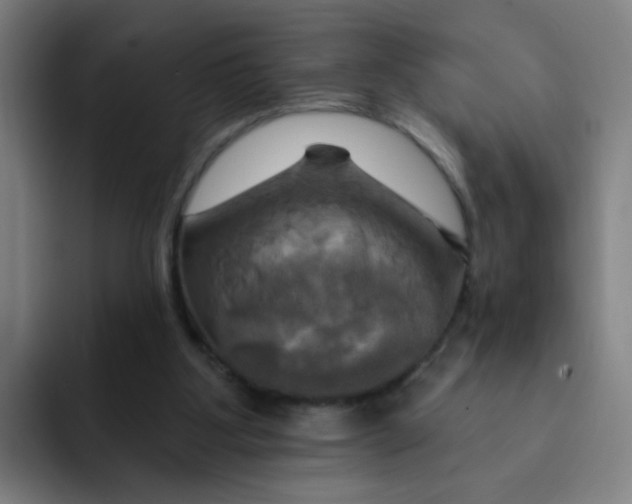 X0000091910107200709261723