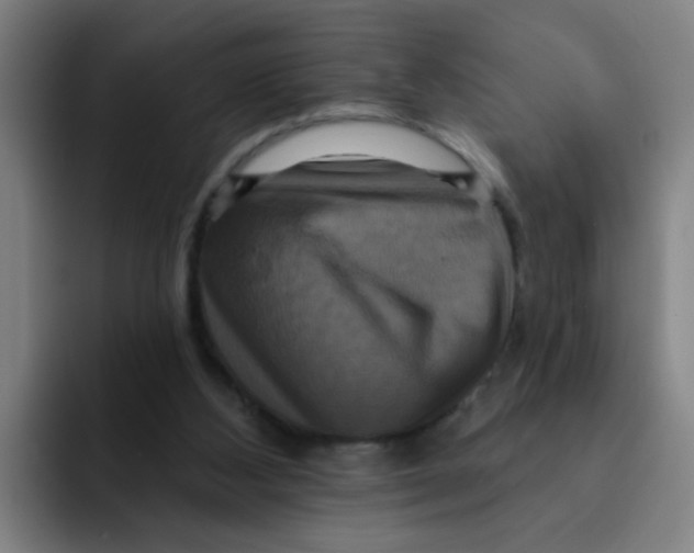 X0000091910108200709261723