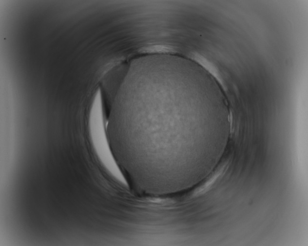 X0000091910109200709261723