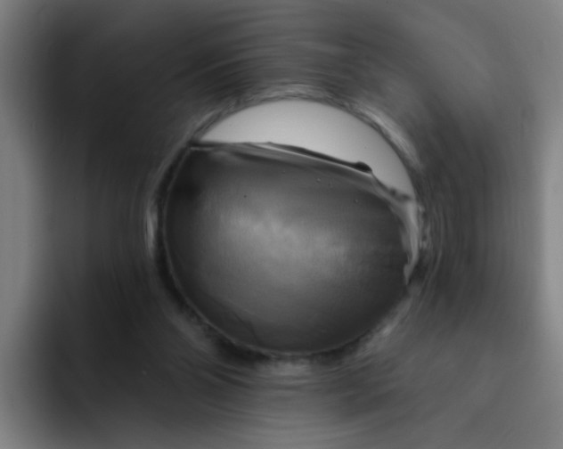 X0000091910110200709261723