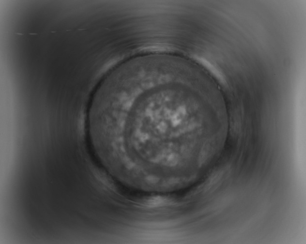 X0000091910111200709261723