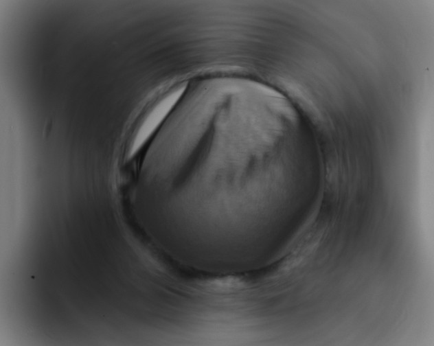 X0000091910112200709261723